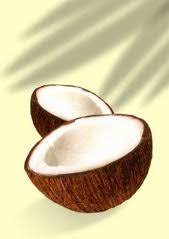 Download the perfect coconut pictures. Free Coconut Images Pictures And Royalty Free Stock Photos Freeimages Com
