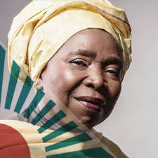 Dr dlamini zuma holds a a bsc degree in zoology and botany from university of zululand 1971; National Development Plan Still Relevant Despite Slow Pace Of Implementation Dr Nkosazana Dlamini Zuma Seifsa