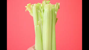 It must also be noted that varying temperatures of the fridge may make the vegetable go spoilt. How Long Does Celery Last And Method To Freeze Celery May You Need To Know