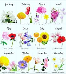 Flores Y Mas Flores Quiero Saber Tanto De Ellas Como De Ti Pregunta Por Tus Flores Favoritas In 2020 Birth Month Flowers Birthday Month Flowers May Birth Flowers