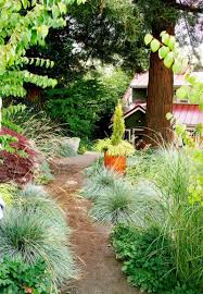 Landscape Gardening Jobs In New Zealand Landscape Gardening Jobs Geelong Drought Resistant Plants Modern Landscape Design Modern Landscaping