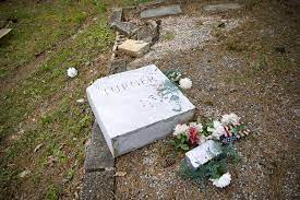 503 commerce park dr se ste g marietta, ga 30060. Cobb Cemetery Damage Investigation Stalls Due To Lack Of Tips