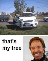 28 Most Funny Tree Meme Photos And Images Of All The Time
