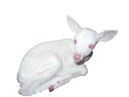 White Pink Deer Polyvore Moodboard Filler Dreamcore Weirdcore Png Aesthetic Weird Animals