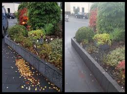 Beetpflanzen Zuruckschneiden Und Fur Den Winterschlaf Fertig Machen Beetpflanzen Gartenbeet Pflanzenschnitt Unkraut Laub Pflanzen Beetpflanzen Gartenbeet
