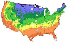 Vegetable Planting Schedule Hardiness Zone Look Up