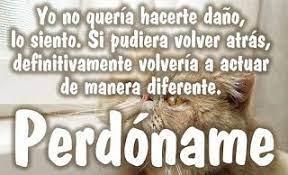 10 Ideas De Imagenes De Perdoname Imagenes De Perdoname Perdoname Perdoname Amor