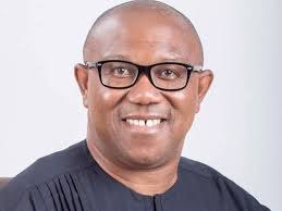 The democracy struggle: Where was Peter Obi?