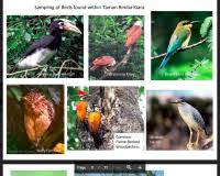 They ruled in favour of the taman tun dr ismail (ttdi) resident's association, who appealed against the development order for the taman rimba kiara project obtained in 2017, by a joint venture of yayasan wilayah persekutuan and developer, memang perkasa sdn bhd, as reported by the. Dbkl Nak Hapuskan Taman Di Ttdi Tapi Dorang Silap Besar Cari Pasal Dengan Penduduk Mana Soscili