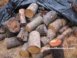 The chart does not include one of the favorite firewoods in the cascade range, tamarack, aka larch. Douglas Fir Firewood How Does Douglas Fir Firewood Burn