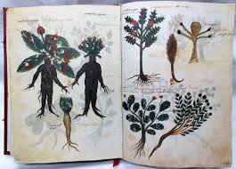 Herbarios” y “Bestiarios” : Blog de Emilio Silvera V.