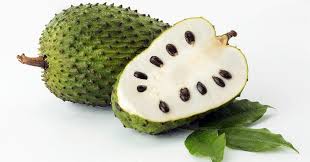 Keinginan seorang ibu untuk mengkonsumsi beberapa makanan ketika hamil atau lebih sering dikenali dengan sebutan ngidam terkadang membuat pada dasarnya durian tidak memiliki dampak yang buruk untuk kesehatan ibu hamil akan tetapi ada dua kandungan zat yang terdapat pada buah. Catatan Kecil Tentang Buah Sirsak Muris Zuurzak Nangka Belanda Durian Belanda Soursop Annona Muricata