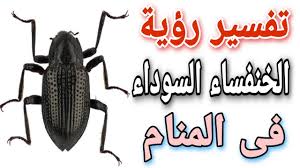 الاستيقاظ من النوم في المنام؟ اهلا بكم في موقع نصائح من أجل الحصول على المساعدة في ايجاد معلومات دقيقة قدر الإمكان من خلال إجابات وتعليقات الاخرين الذين يمتلكون الخبرة والمعرفة بخصوص هذا السؤال التالي: ØªÙØ³ÙŠØ± Ø±Ø¤ÙŠØ© Ø§Ù„Ø®Ù†ÙØ³Ø§Ø¡ Ø§Ù„Ø³ÙˆØ¯Ø§Ø¡ ÙÙ‰ Ø§Ù„Ù…Ù†Ø§Ù… Ù…Ø§ Ù…Ø¹Ù†Ù‰ Ø±Ø¤ÙŠØ© Ø§Ù„Ø®Ù†ÙØ³Ø© ÙÙ‰ Ø§Ù„Ø­Ù„Ù… Youtube