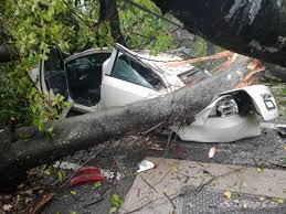 We did not find results for: Pokok Tumbang Timpa Kereta Dan Motosikal Di Hadapan Muzium Negara Wapcar