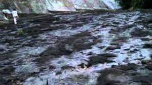 Tucunare na usina mourão dia 09/03/2020 pesque e solte. Usina Mourao Campo Mourao Pr Youtube