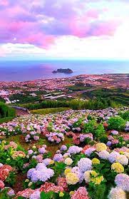 Pin By Ina Lee Nesbitt On Beautiful Places Beautiful Nature Beautiful Landscapes Beautiful Places