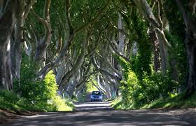 Beautiful Tree Tunnels Around The World Tree Tunnel Beautiful Tree Dark Hedges