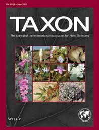 Image result for Oldenlandia angolensis