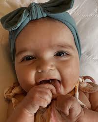 Photos by Anne Hammond (@hammond9146) · December 5, 2025