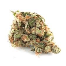 Og kush and poison durban combine to create this dominant indica plant which obligatorily has compact resinous buds structure of tinted purple leaves. Girl Scout Cookies Strain Information Cannaconnection Com