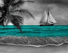 Fotor's color splash effect provides you with so many magic splash color choices online. 17 Black White Color Pop Inspo Ideas Color Pop Color Splash Photography Splash Photography