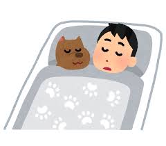 犬と寝る人のイラスト | かわいいフリー素材集 いらすとや