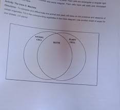 Check spelling or type a new query. What Are The Similarities Of Plant And Animal Cells Brainly