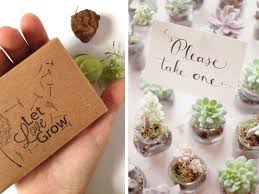 Le bomboniere sono fondamentali e. Suggerimenti Per Bomboniere Fai Da Te Succulent Party Favors Boho Chic Wedding Party Favors