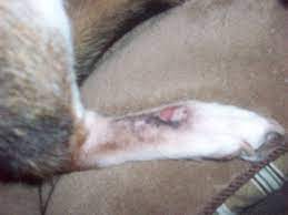 Best 54 Prolapse Wallpaper On Hipwallpaper Prolapse Wallpaper