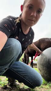 Boy Riding Horse Exercise Ball