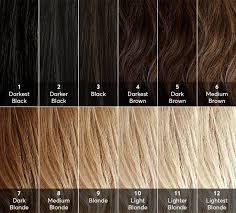 Natural Hair Levels In 2019 Hair Shades Brown Hair Colors