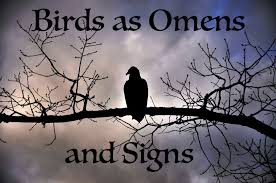 Types Of Birds And Their Meanings How To Read Birds As Omens And Signs Animal Spirit Guides Spirit Guides Spirit Animal