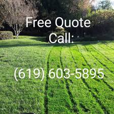 Landscaping design, lawn care, lawn maintenance, cleanups, tree. Ray Moreno Chula Vista Ca