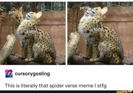 This Is Literally That Spider Verse Meme I Stfg Ifunny Funny Marvel Memes Marvel Spiderman Marvel Funny