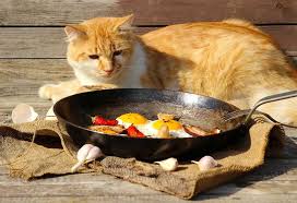 Purina veterinary diets dm dietetic management dry cat. Homemade Cat Food 8 Healthy And Tasty Recipes For Your Kitty