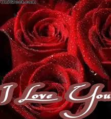 Love red rose images free download. Top 55 Beautiful I Love You Roses Images Photo Pics Wallpaper Download