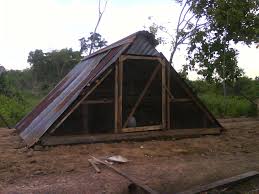 Maybe you would like to learn more about one of these? Cara Membuat Reban Ayam Hutan Renato Ricci Musica