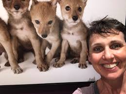 Lisa NIeters (@lnieters)