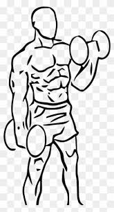 Biceps Drawing Man S Arm Dumbbell Curl Png Clipart 4137921 Pinclipart Gym, bodybuilding health sketch stock. arm dumbbell curl png clipart