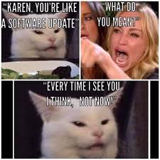 Find the newest spray bottle meme. Karen Cat Meme