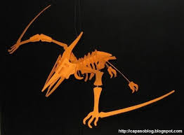 Photo Pteropapercraftcapaso002 Zps4575b967 Jpg Paper Models Paper Crafts Paper Animals