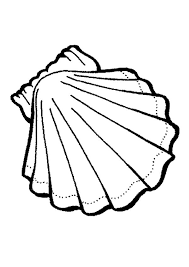 248.17 kb click the download button to see the full image of coloring pages sea shells free, and download it in your computer. Pin On Printables