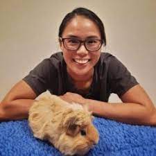 Wellness, vaccinations, surgery, dentistry, boarding Lafebervet