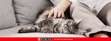 Check spelling or type a new query. Purina One Home Facebook