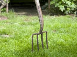 I have had my lawn core aerated in 2017 and 2018 by my past lawn service. The 8 Best Lawn Aerators Of 2021
