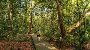 We went on a nature walk and hiking at windsor park located at venus drive singapore.walk to hanguana and prepare for an adventure to drongo trail where maca. Windsor Nature Park A Lesser Known Hike To Macritchie In Singapore