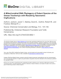 Image result for Aizoon schellenbergii