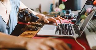 Show Us What It S Like Working From Home With Your Pets In 2020 Internship Working From Home Working Life