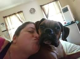 Toddlers and their quirky preferences for food packaging