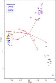 Image result for Agrocharis pedunculata